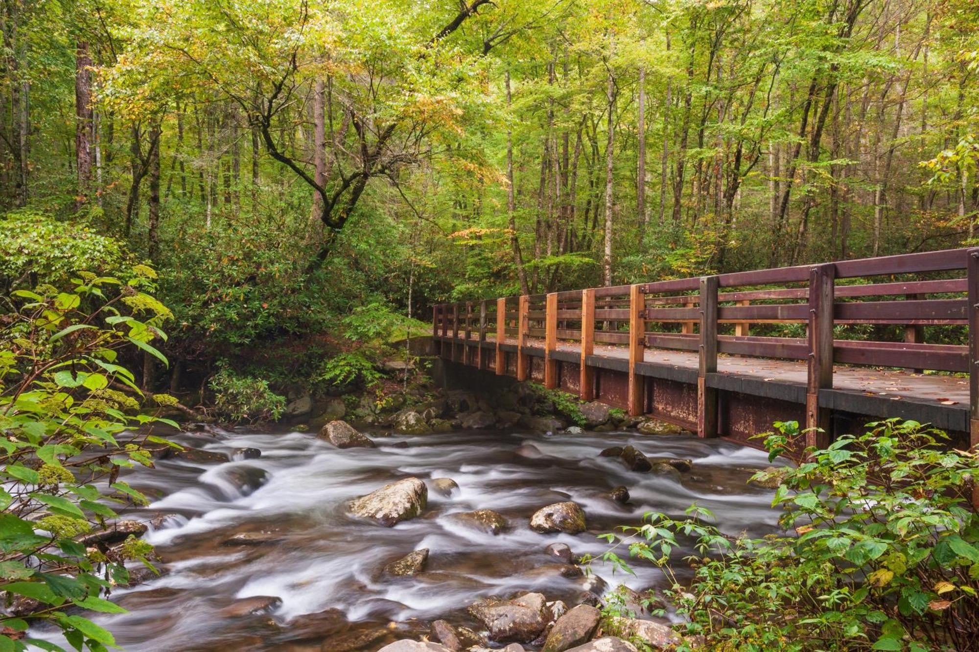 Mountain Lake Lodge, Hot Tub, Theater Room, 1089 Free Tickets Each Paid Day, Dollywood And More Sevierville Dış mekan fotoğraf